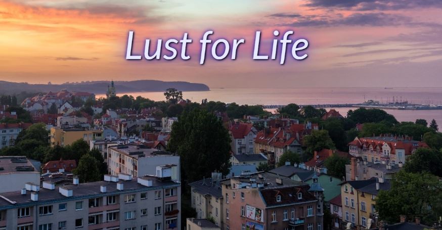 Lust for Life porn xxx game download cover