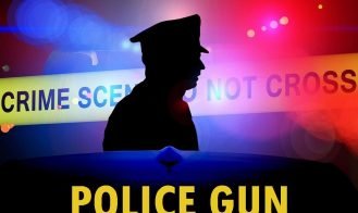 Police Gun porn xxx game download cover
