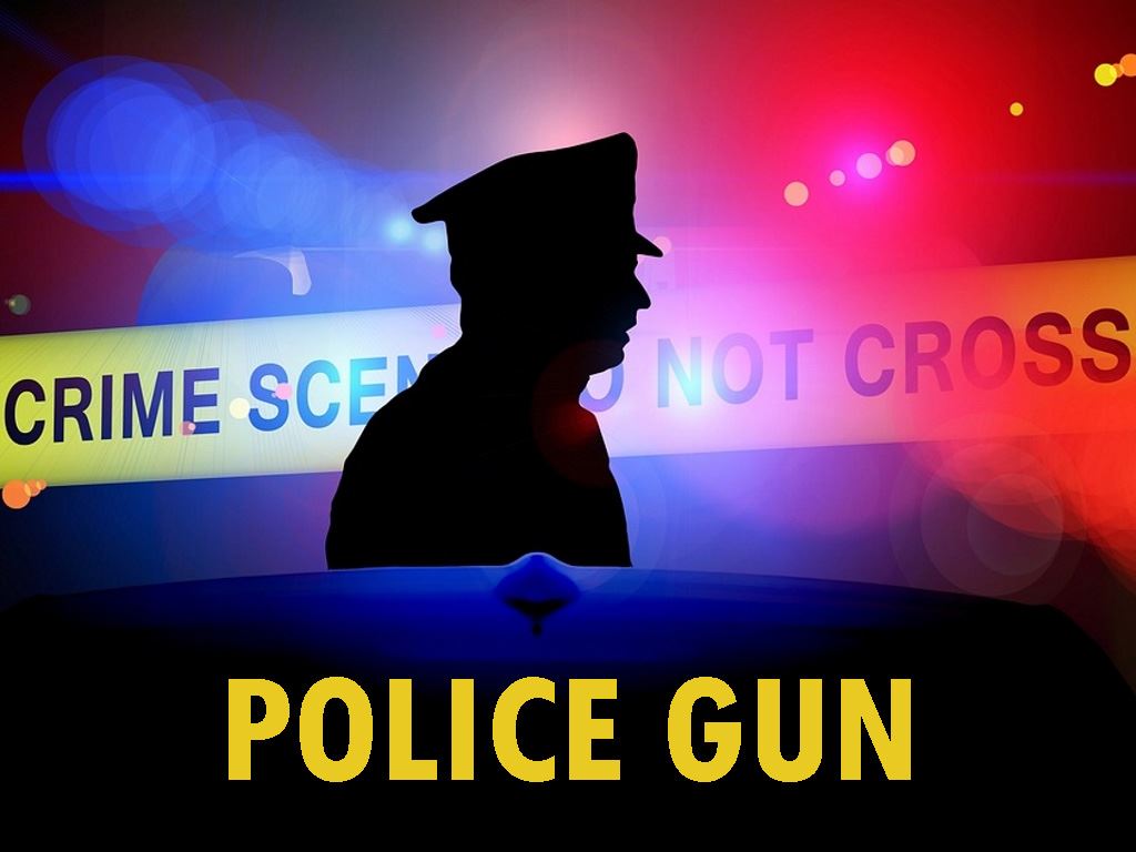 Xxx Police Crime - Police Gun Others Porn Sex Game v.0.31 Download for Windows