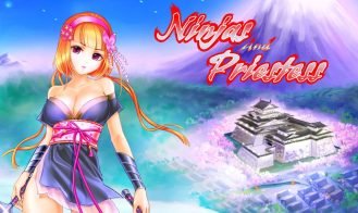 Ninjas and priestess porn xxx game download cover