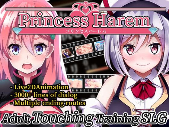 Princess Harem porn xxx game download cover