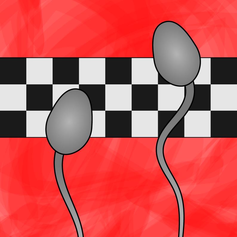 Sperm Race porn xxx game download cover