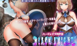Black Knight: Knight of Insult porn xxx game download cover