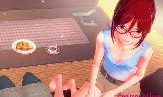 Feelings of Love porn xxx game download cover