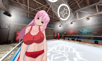 Hentai Fighters VR porn xxx game download cover