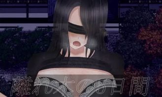 5 days of separation porn xxx game download cover