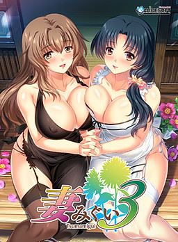 Tsumamigui 3 porn xxx game download cover