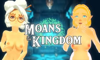 Zelda: Moans of the kingdom porn xxx game download cover