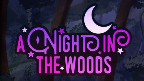 A Night in the Woods porn xxx game download cover