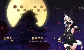 Ninja Ordinance Adult Game Screenshots (3)