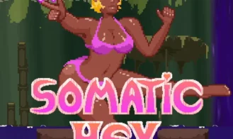 Somatic Hex porn xxx game download cover