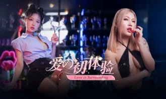 First Love Experience porn xxx game download cover