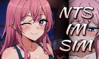 NTS-IM-SIM porn xxx game download cover
