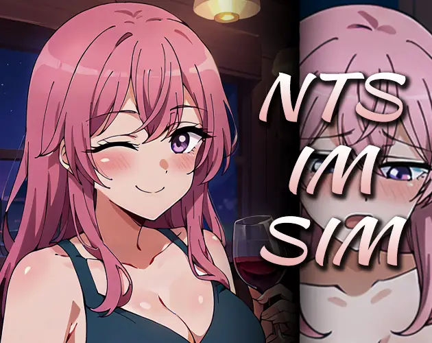 NTS-IM-SIM porn xxx game download cover