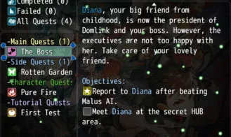 FlashFront Adult Game Screenshot (2)