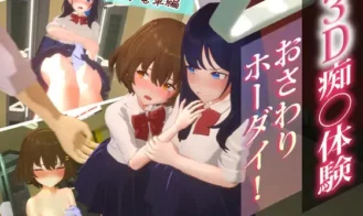 3D Molester Experience: Touching Unlimited! School Train Edition porn xxx game download cover