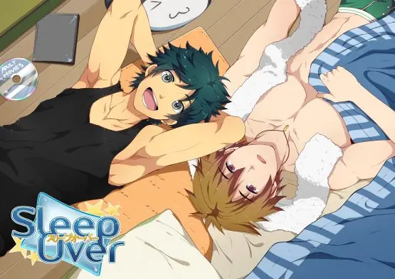 Sleepover reWake porn xxx game download cover