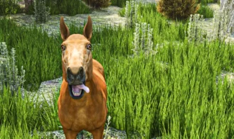 Mothers Village Camping Day Adult Game Screenshots (4)