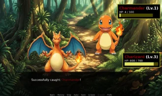 PokemonAfter the League Adult Game Screenshots (7)