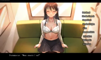 Sleeping-Train-Molester-Adult-Game-Screenshots-2